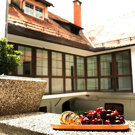 Pensjonat Petkovsek And Lublana