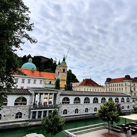게스트하우스 Petkovsek And