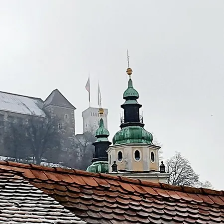 게스트하우스 Petkovsek And 3*