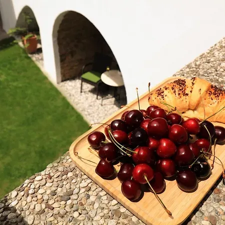 Petkovsek And 招待所 3*