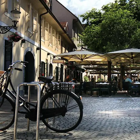 Petkovsek And Guest house Ljubljana