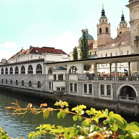 Petkovsek And 3* 卢布尔雅那