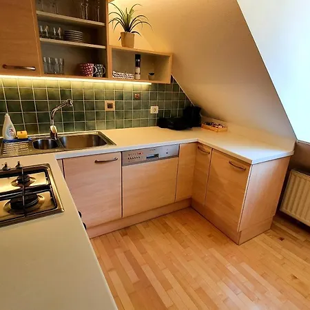 Petkovsek And 招待所 卢布尔雅那