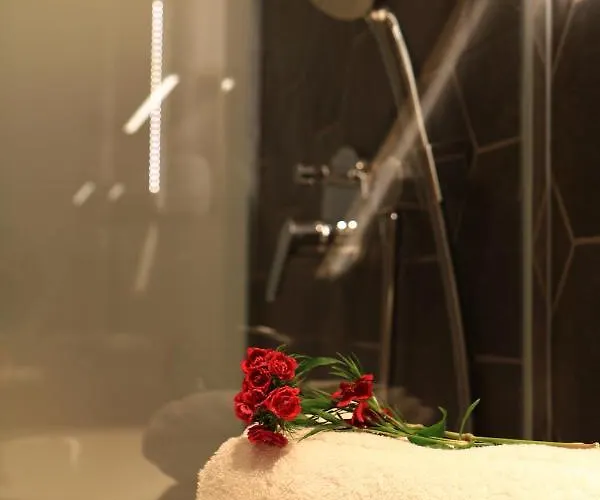 Petkovsek And 招待所 3*