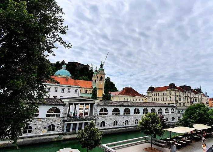 招待所 Petkovsek And