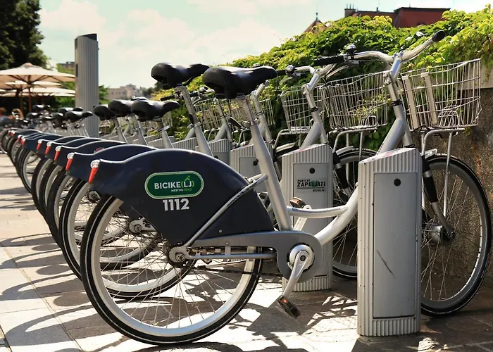 招待所 Petkovsek And 3*