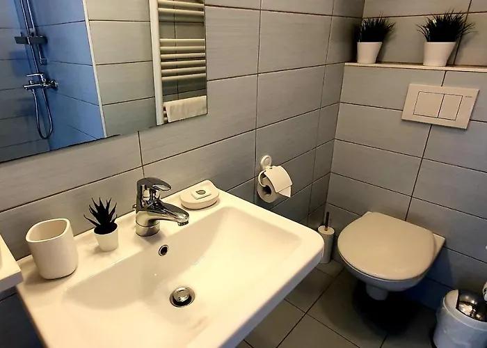 Petkovsek And 招待所 3*