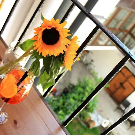 Petkovsek And Laibach