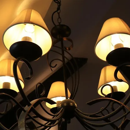 Petkovsek And 3* Laibach