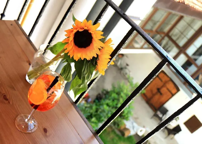 Petkovsek And Λιουμπλιάνα